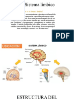 Sistema Límbico