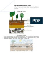 Componentes Del Suelo