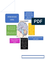 Mapa Mental S.N.C