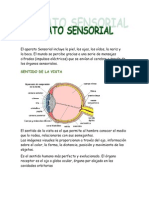 Aparato Sensorial