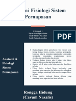 7 Anatomi Dan Fisiologi Sistem Pernapasan