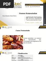 Carnes Fermentadas