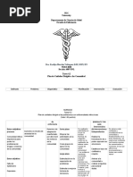 Tarea 4.2 Plan de Cuidados Dirigido A Las Comunidad