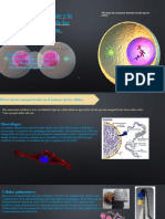 Membrana Celular y La Inespecificidad de Las Nanopartículas