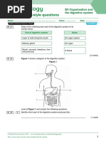 Exam-Style Questions: B3 Organisation and The Digestive System