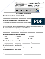 Ficha Practica El Sustantivo