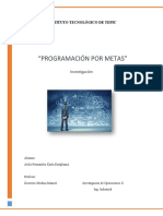 Programacion Por Metas