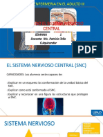 Revisando El SNC Sistema Nervioso Central