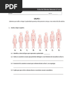 Ciências 6ºano Reprodução Humana II