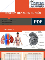 Función Renal en El Niño