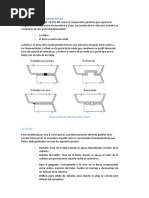 Ruedas y Neumáticos