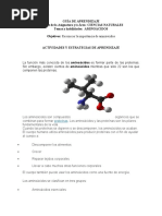 Guia de Aprendizaje Aminoacidos Grado 9