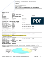 Relatório Da Situação Processual Executória - 1