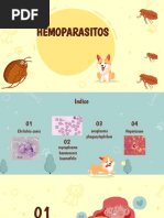 Hemoparasitos 1