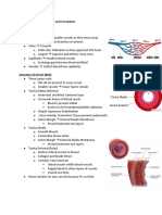 Chapter 21 - Blood Vessels and Circulation