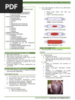 NCM 109 (OB) - 4.1 Nursing Care of The Postpartum Client