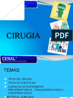 Diapositivas Cirugia