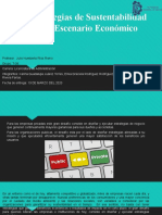 4.8 Estrategias de Sustentabilidad para El Escenario Economico