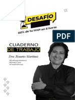 Cuaderno de Trabajo - Desafío Tesis