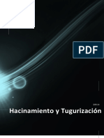 Hacinamiento y Tugurizacion