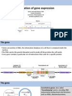 2 Regulation Gene Expression Balacco