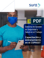 Seminario Pyme - Capacitacion Copasst