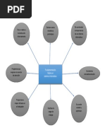 Fundamentacion Mental