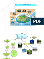 Tema 6. - Los Ecosistemas