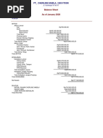 Standard Balance Sheet Neraca