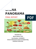 China Panorama-Final Report