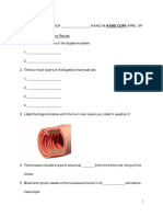 Digestive System Worksheet