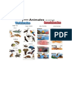 Clasificacion de Los Animales