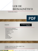 Taller de BIOMAGNETICO