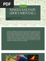 Magia Salvaje (Documental)