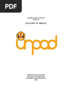 Manual Lab Anatomy of Breast - LA RPS2 W3