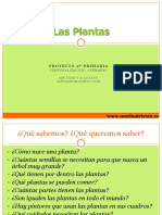 Las Plantas