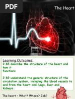 The Heart Structure and Function