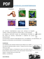 Los Vertebrados e Invertebrados