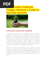 Conservación Ambiental Trabajo Escrito