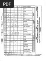 Neuropsi Tablas de Convercion