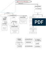 Actividad de Nutrición Autotrofa y Heterotrofa