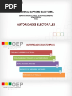 AUTORIDADES ELECTORALES Diapositivas