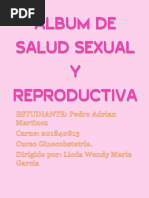 ALBUM INFOGRAFICO SALUD REPRODUCTIVA Pedro Adrian Martinez