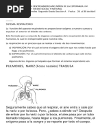 GUÍA DE TRABAJO No. 7 MEDIO SOCIALY NATURAL SEGUNDO A