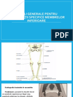 REGULI GENERALE PENTRU INVESTIGAŢII SPECIFICE MEMBRELOR INFERIOARE BBBBBBBBB