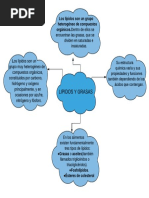 Mapa Mental Grasas