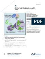 Cerberal Organoid Glioma