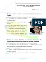 B.2.2 - Ficha de Trabalho - Sistema Nervoso