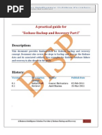 A Practical Guide For Essbase Backup and Recovery