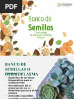 Banco de Semillas